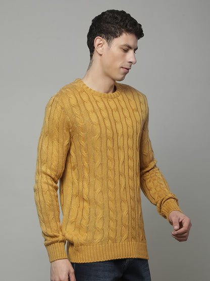 Sweater for Men | Winter Wear Acrylic Fabric Pull-on Closure Round Neck