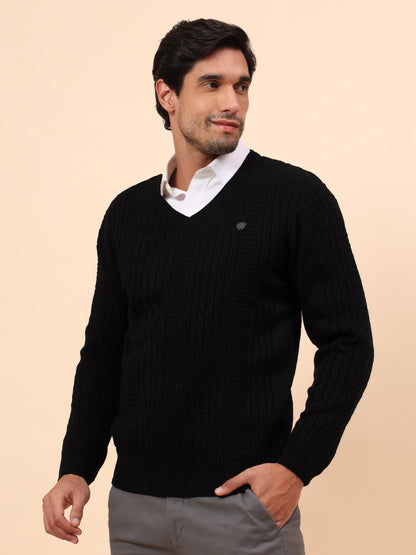 Sweater for Men | Winter Wear Acrylic Fabric Pull-On Closure V-Neck Regular Fit Self Design Pattern