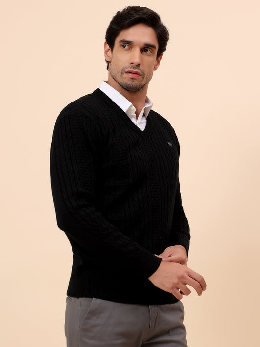 Sweater for Men | Winter Wear Acrylic Fabric Pull-On Closure V-Neck Regular Fit Self Design Pattern