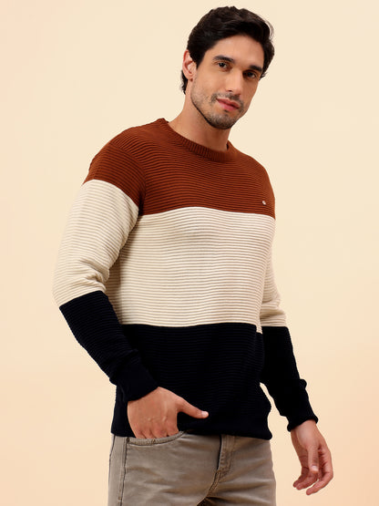 Sweater for Men | Winter Wear Fancy Fabric Pull-On Closure Round Neck Regular Fit Striped Pattern