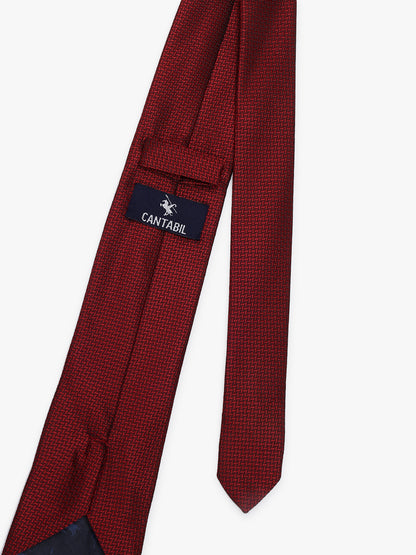 Men's Printed Maroon Tie