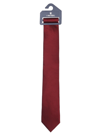Men's Printed Maroon Tie