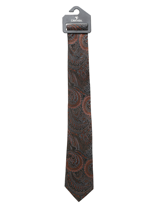 Men's Brown Fashion Broad Tie