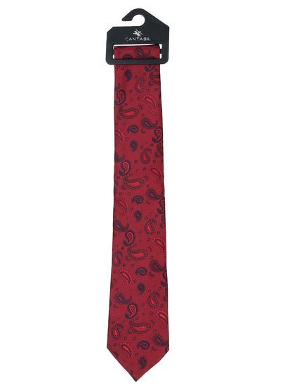 Men's Printed Maroon Regular Broad