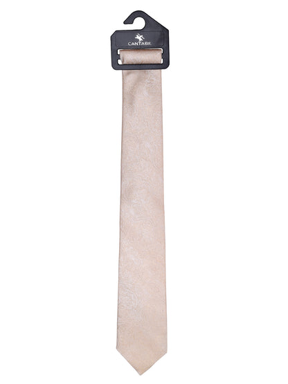 Men's Paisley Design Fawn Tie