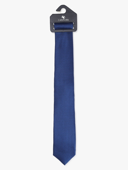 Men's Printed Blue Tie