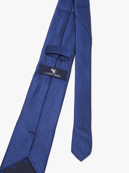 Men's Printed Blue Tie