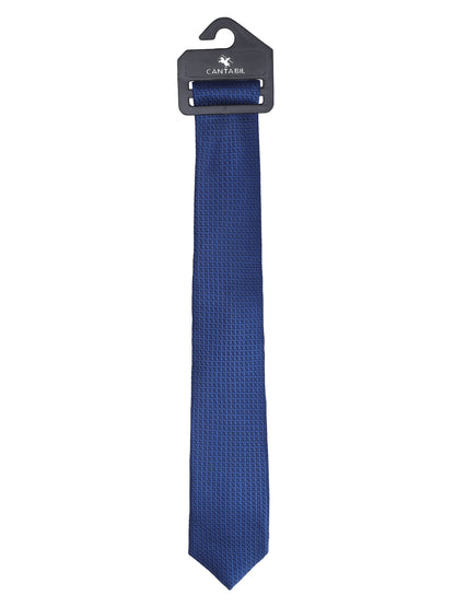 Men's Printed Blue Tie