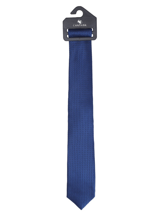 Men's Printed Blue Tie