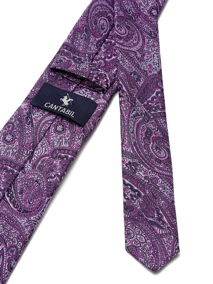 Men's Purple Fashion Paisley Pattern Tie Set