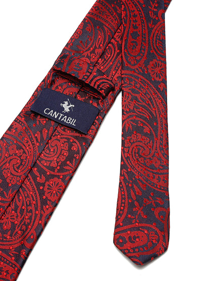 Men's Maroon Fashion Paisley Pattern Tie Set