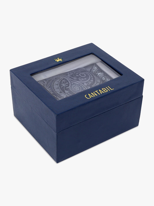 Men's Paisley Tie Set with Pocket Square