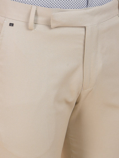 Men's Grey Regular Fit Self Design Formal Trouser