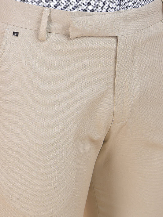 Men's Grey Regular Fit Self Design Formal Trouser