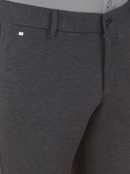 Men's Charcoal Regular Fit Self Design Formal Trouser