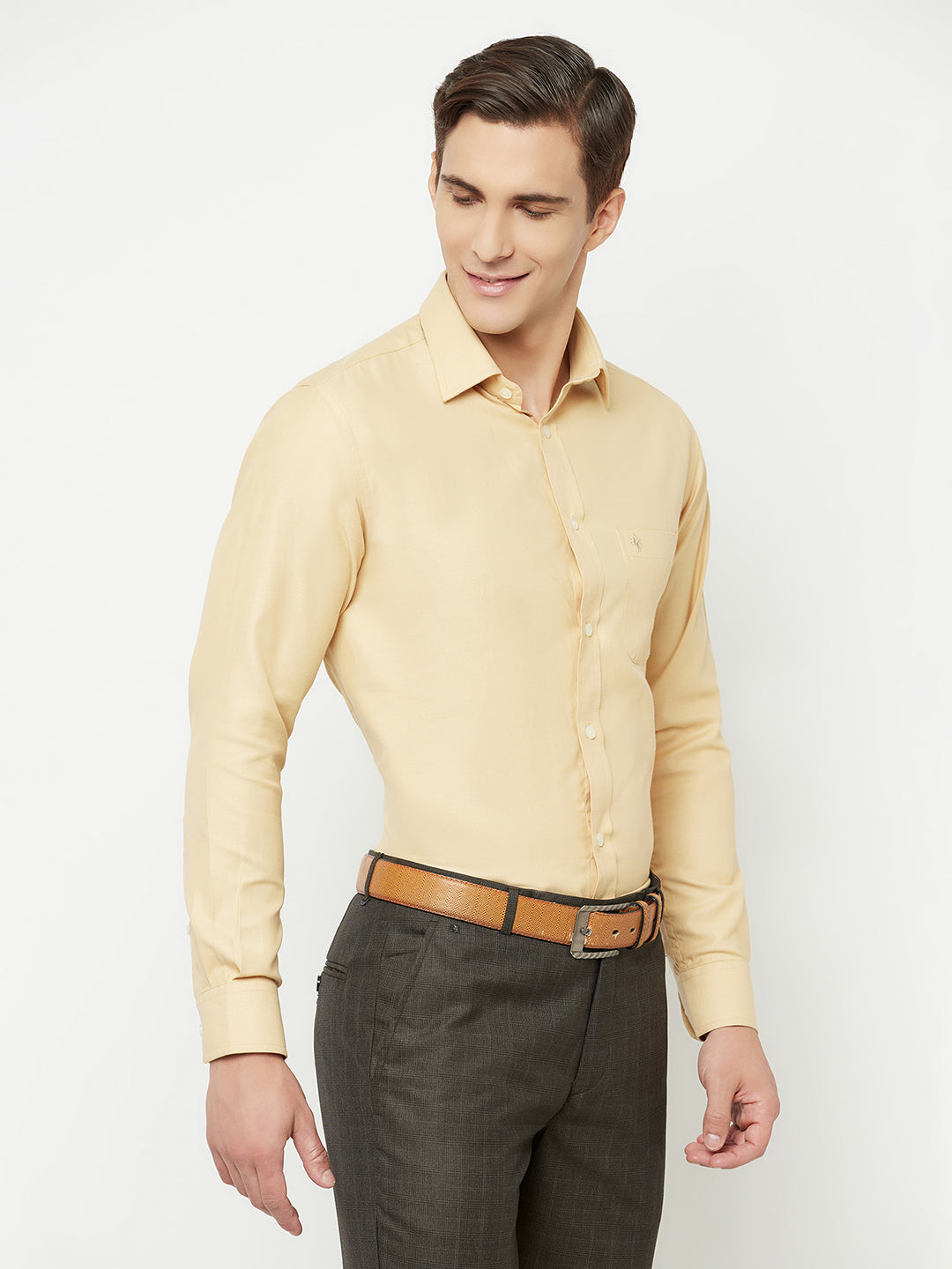 Cantabil Men's Khaki Formal Shirt (6827033559179)