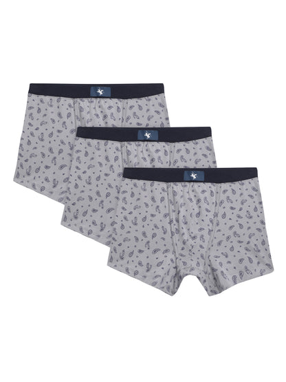 Cantabil Men Pack of 3 Printed Grey Brief (6771416760459)