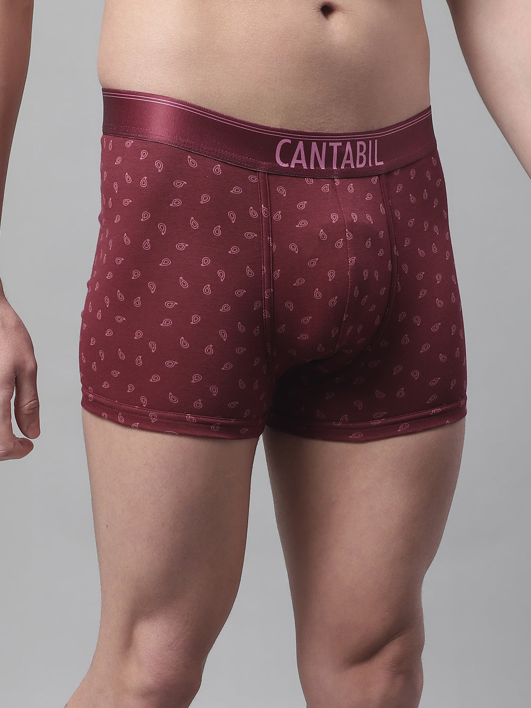 Cantabil Men Pack of 3 Maroon Brief (7088371564683)