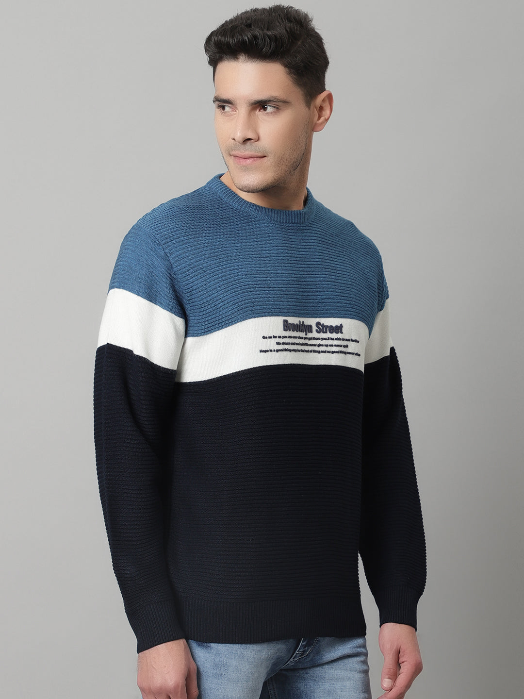 Cantabil Mens Navy Sweater (7047840530571)